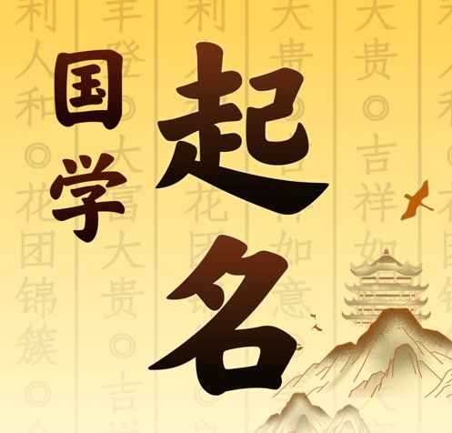 湛江国学起名 人工起名一对一